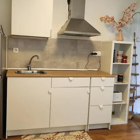 Apartamento With Bathroom, Refrigerator And Microwave *