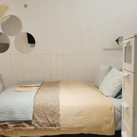 With Bathroom, Refrigerator And Microwave Apartment