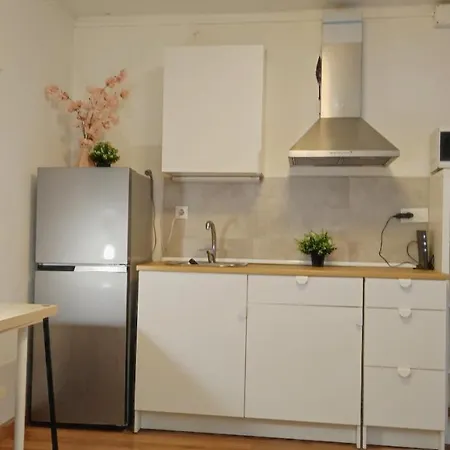 Apartment With Bathroom, Refrigerator And Microwave *