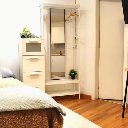With Bathroom, Refrigerator And Microwave Apartment