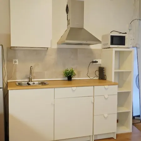 With Bathroom, Refrigerator And Microwave Barcelona