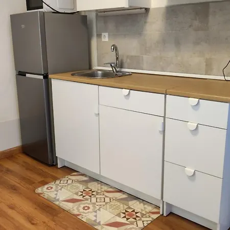 Apartment With Bathroom, Refrigerator And Microwave *