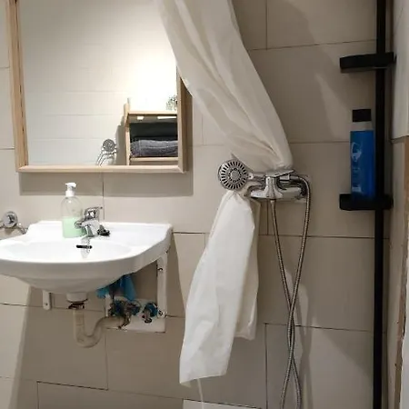 Apartment With Bathroom, Refrigerator And Microwave