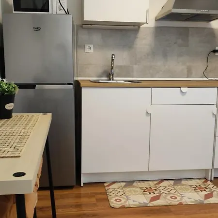 With Bathroom, Refrigerator And Microwave Apartment Barcelona